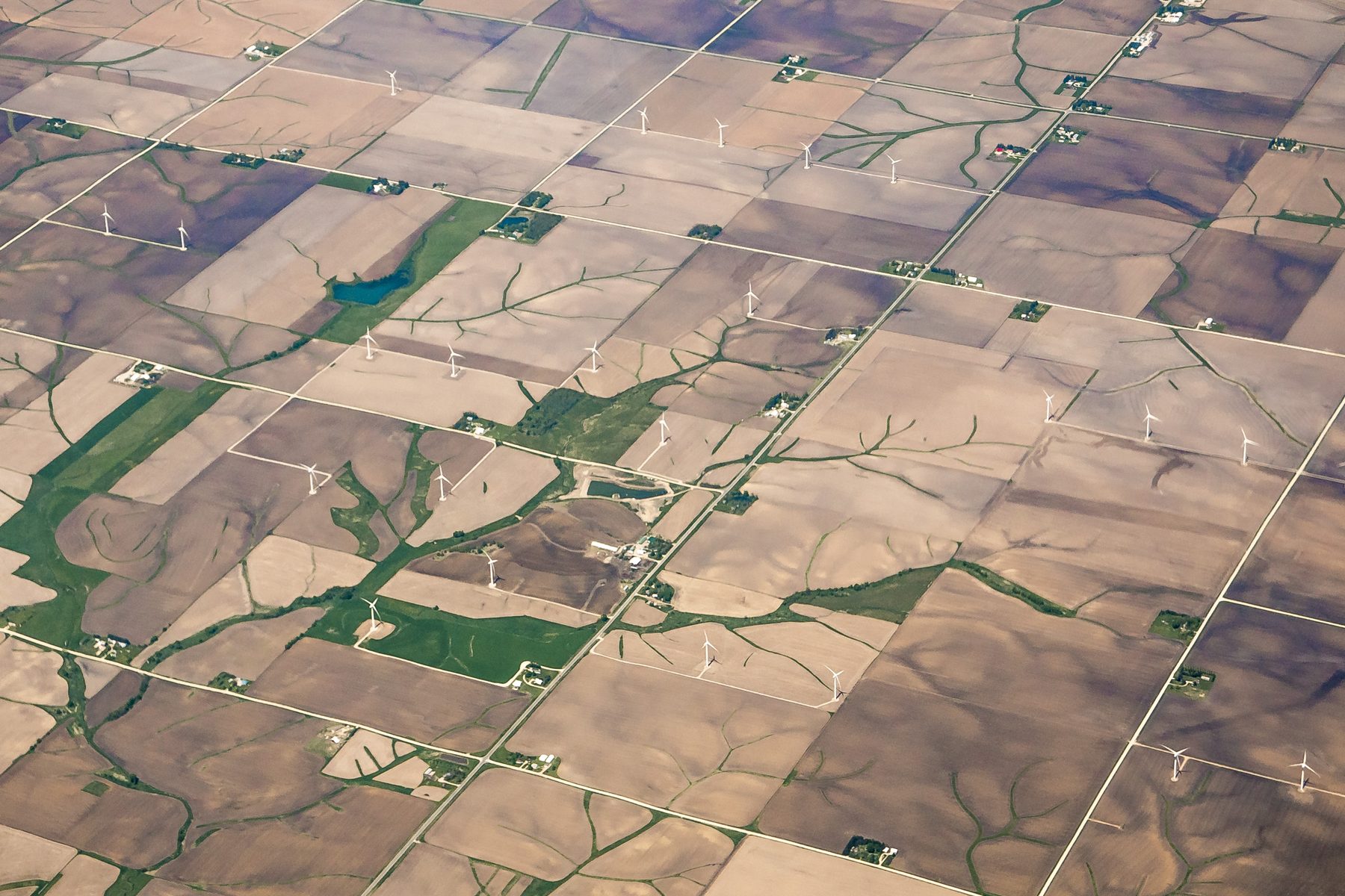 Section-grid farmland with drainage lines, Iowa