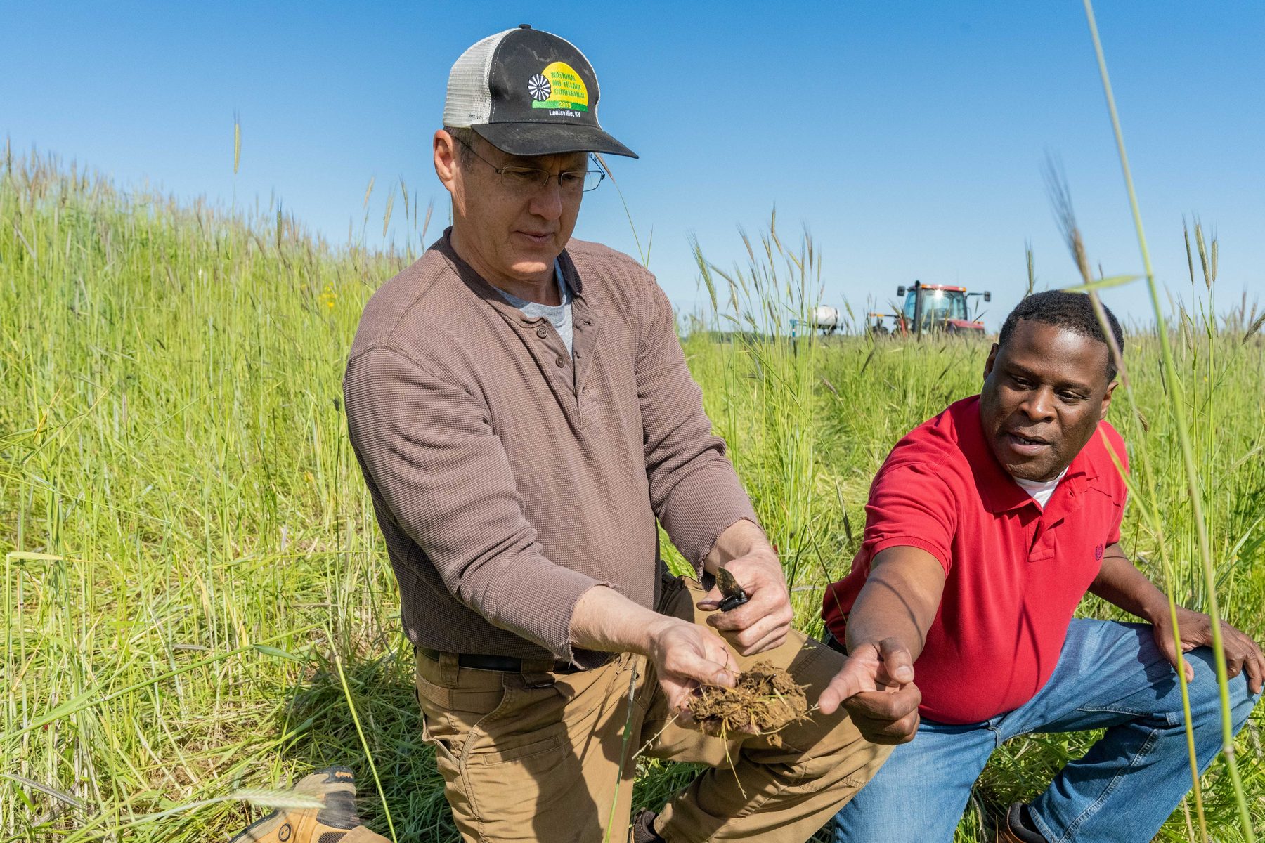 Two conservationists kneeling in a field to examine roots