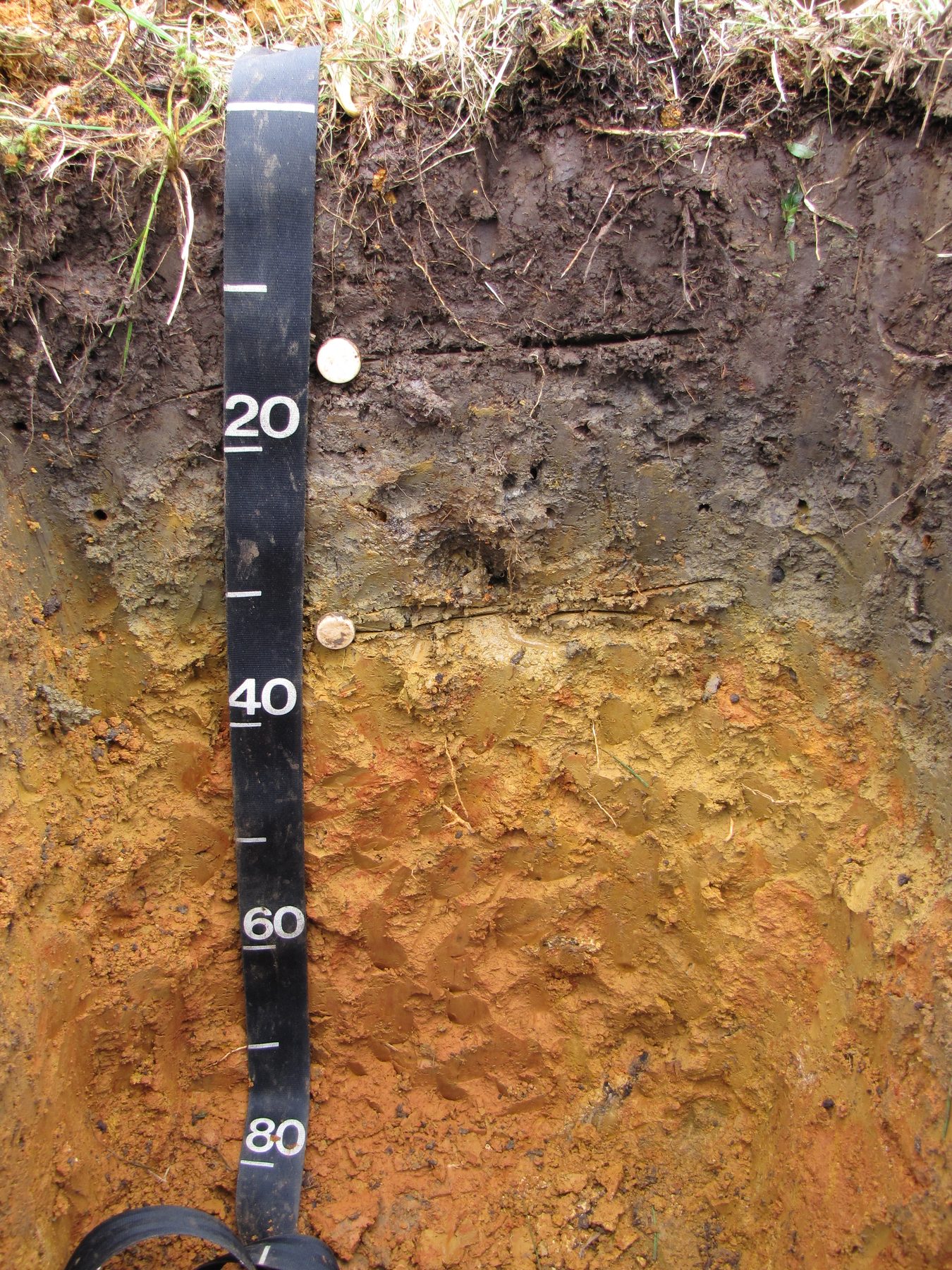 A soil profile in an excavated pit